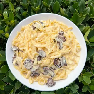 Fettuccini Alfredo